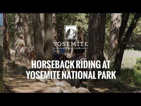 Trail Rides in Yosemite National Park