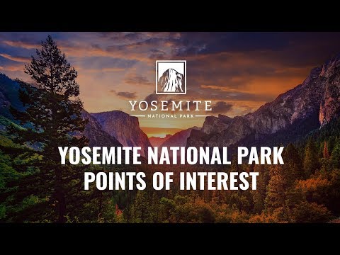 Visit Yosemite National Park