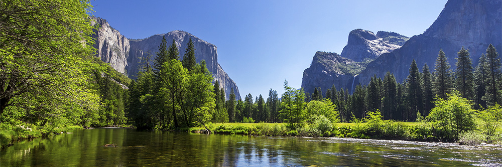 Summer in Yosemite National Park