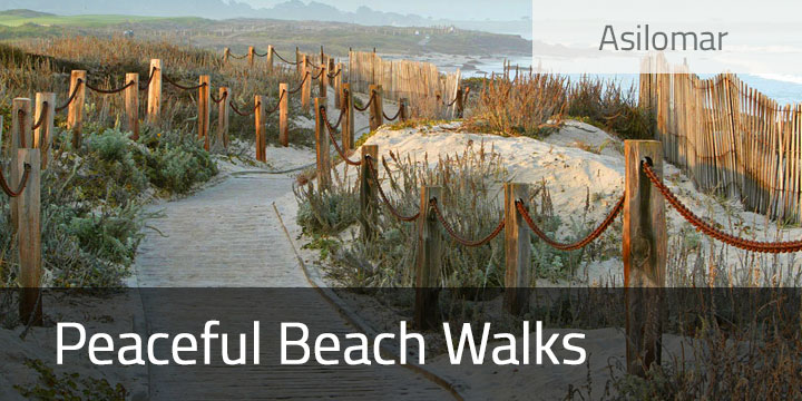 Beach Walks and Asilomar Activities