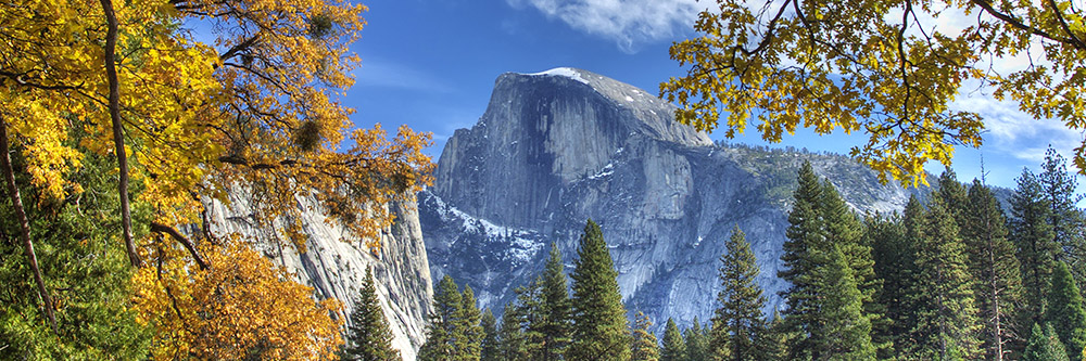 Fall in Yosemite National Park