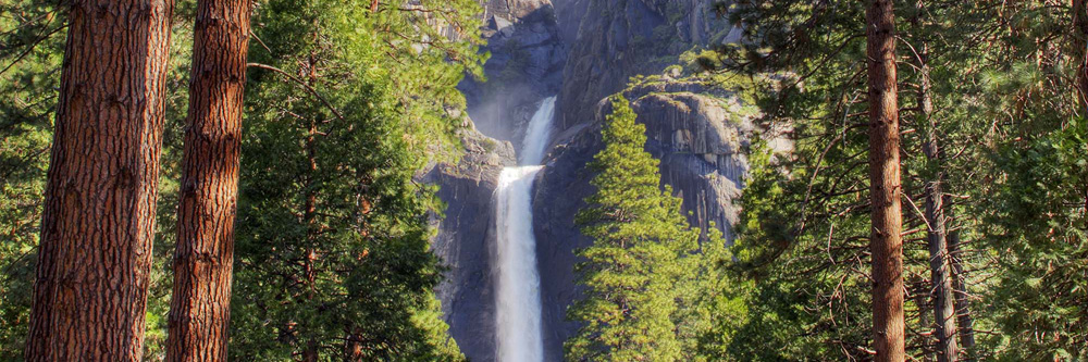 Spring in Yosemite National Park